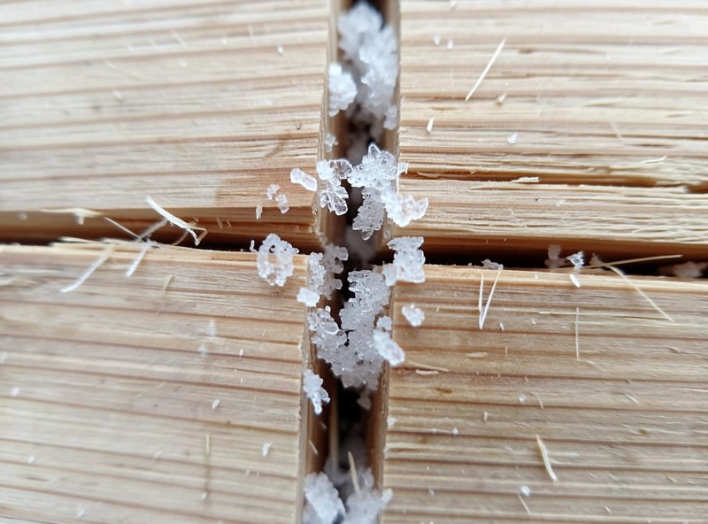 Macro close-up of a split, checked wood board with ice crystals in the crack showing freeze-thaw damage